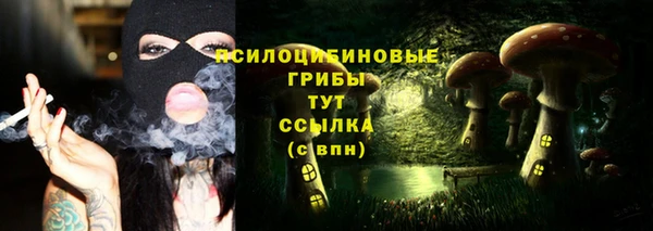 дживик Алексин