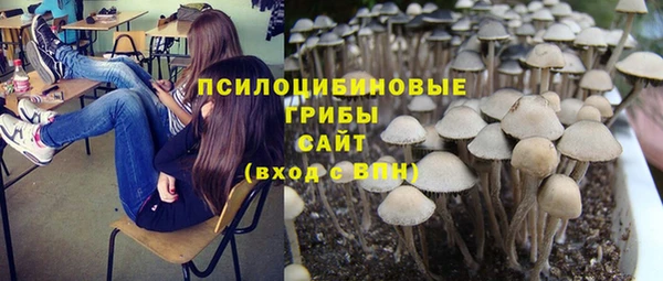 дживик Алексин