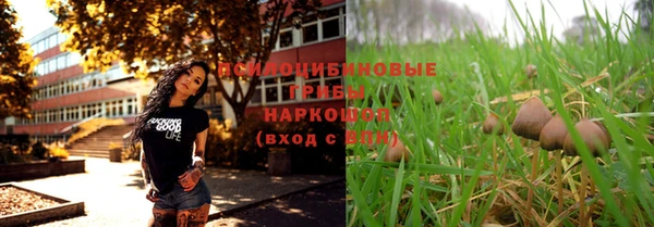 дживик Алексин
