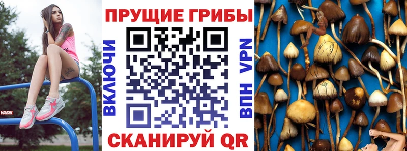 Галлюциногенные грибы прущие грибы  Купить закладки  Морозовск 